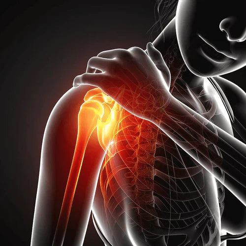 Shoulder