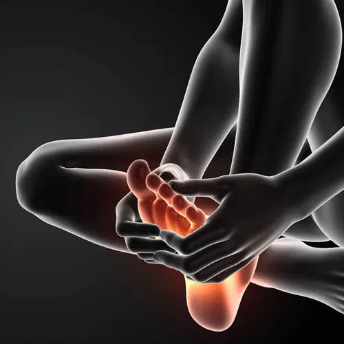Foot